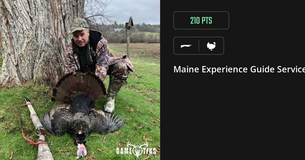 Turkey harvest on Gametiks