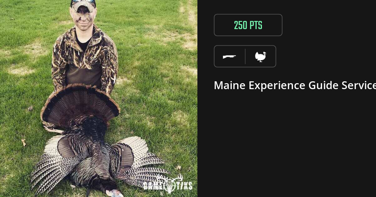 Turkey harvest on Gametiks