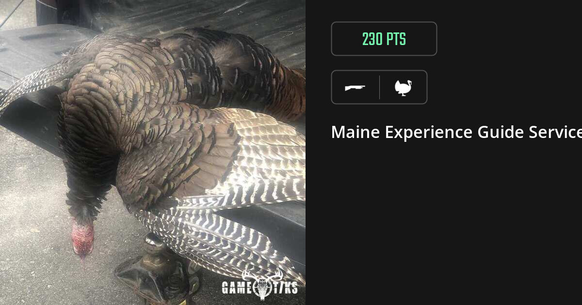 Turkey harvest on Gametiks