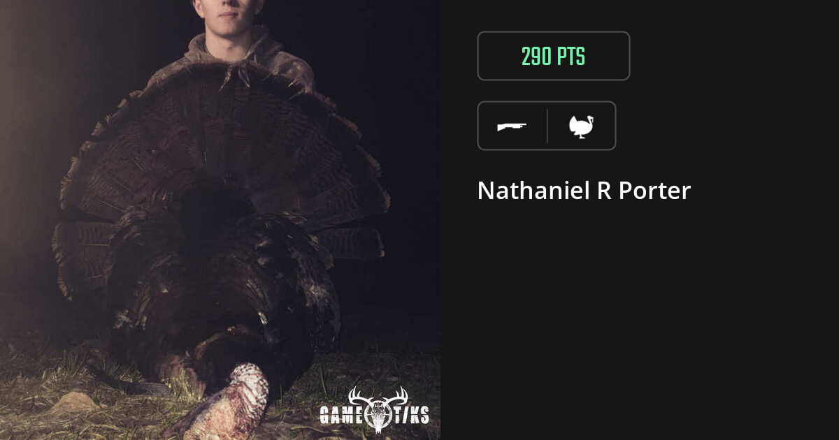 Turkey harvest on Gametiks