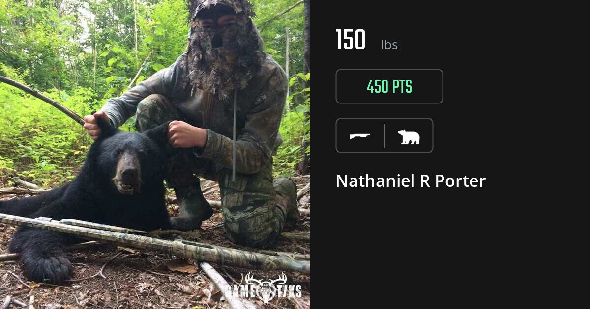 Bear harvest on Gametiks