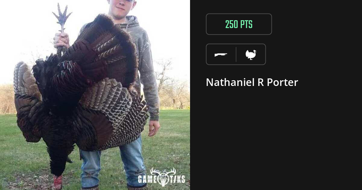 Turkey harvest on Gametiks