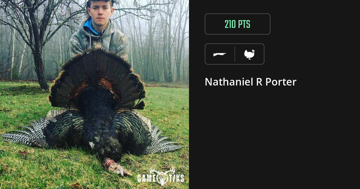 turkey harvest by Nathaniel R Porter