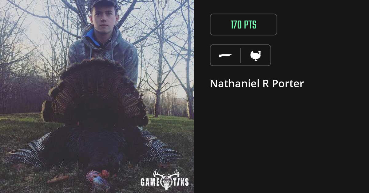 turkey harvest by Nathaniel R Porter