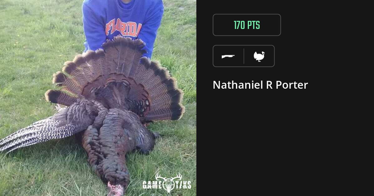 turkey harvest by Nathaniel R Porter