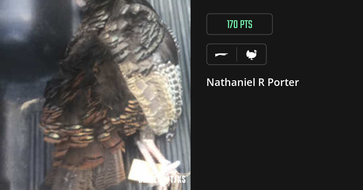 turkey harvest by Nathaniel R Porter
