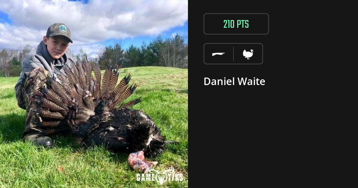 turkey harvest by Daniel Waite