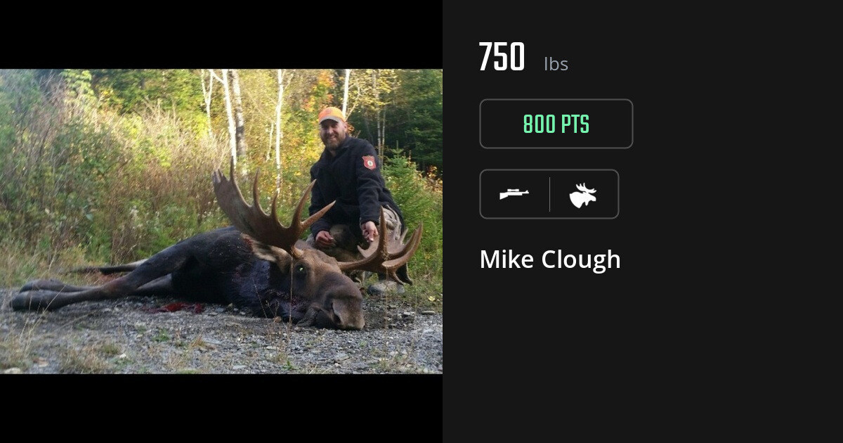 Moose harvest on Gametiks