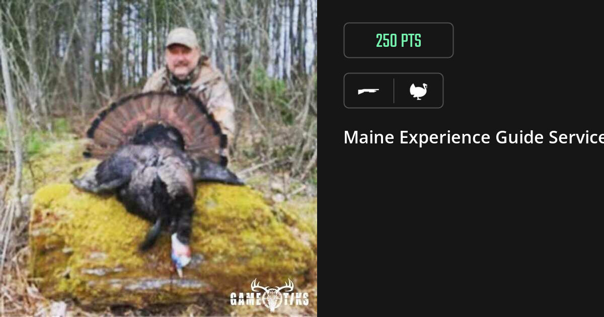 Turkey harvest on Gametiks