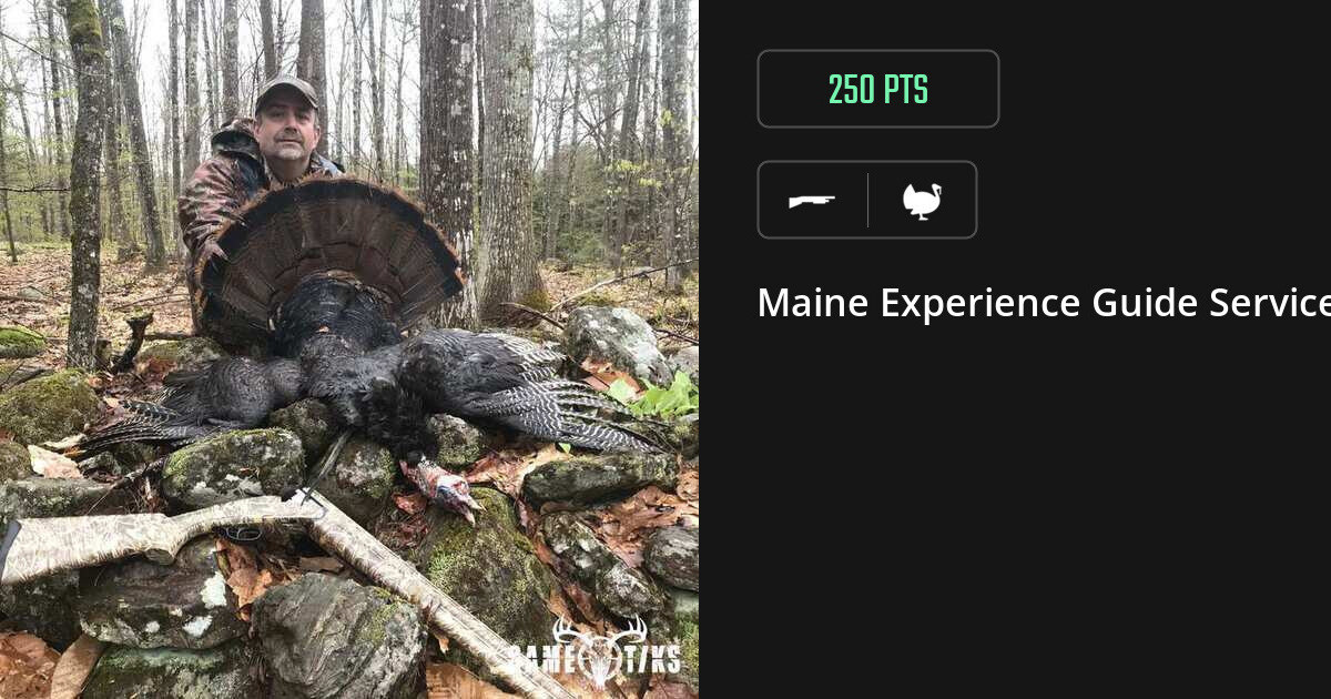 Turkey harvest on Gametiks