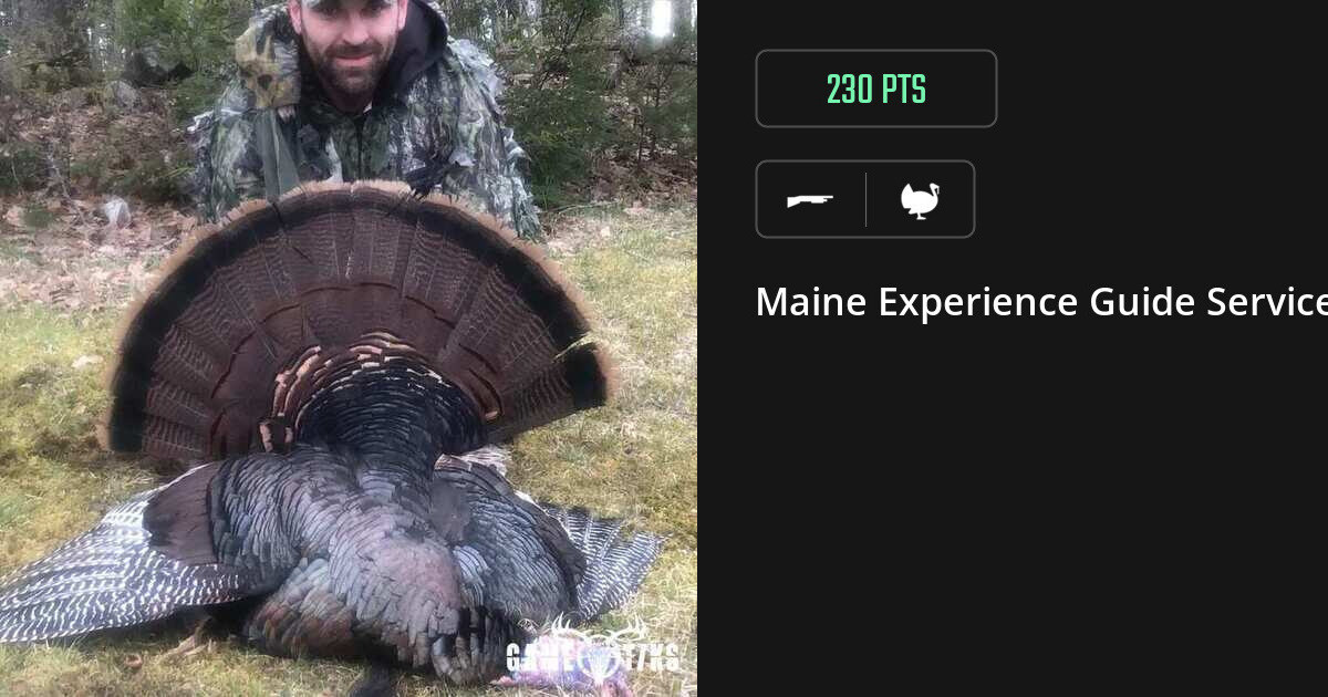 Turkey harvest on Gametiks