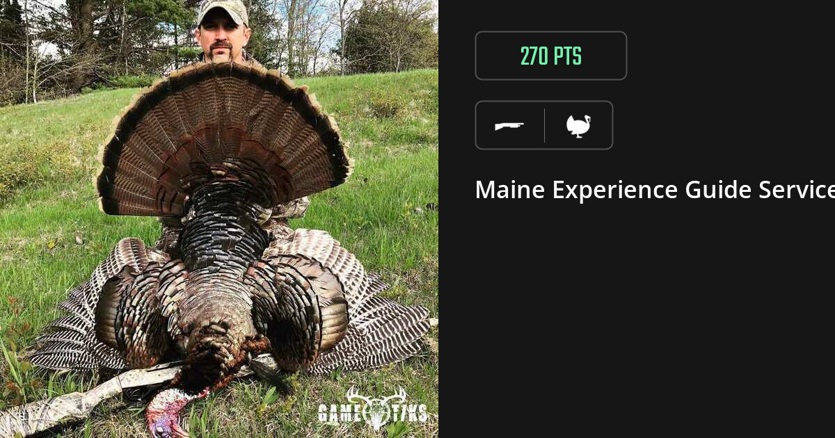 Turkey harvest on Gametiks