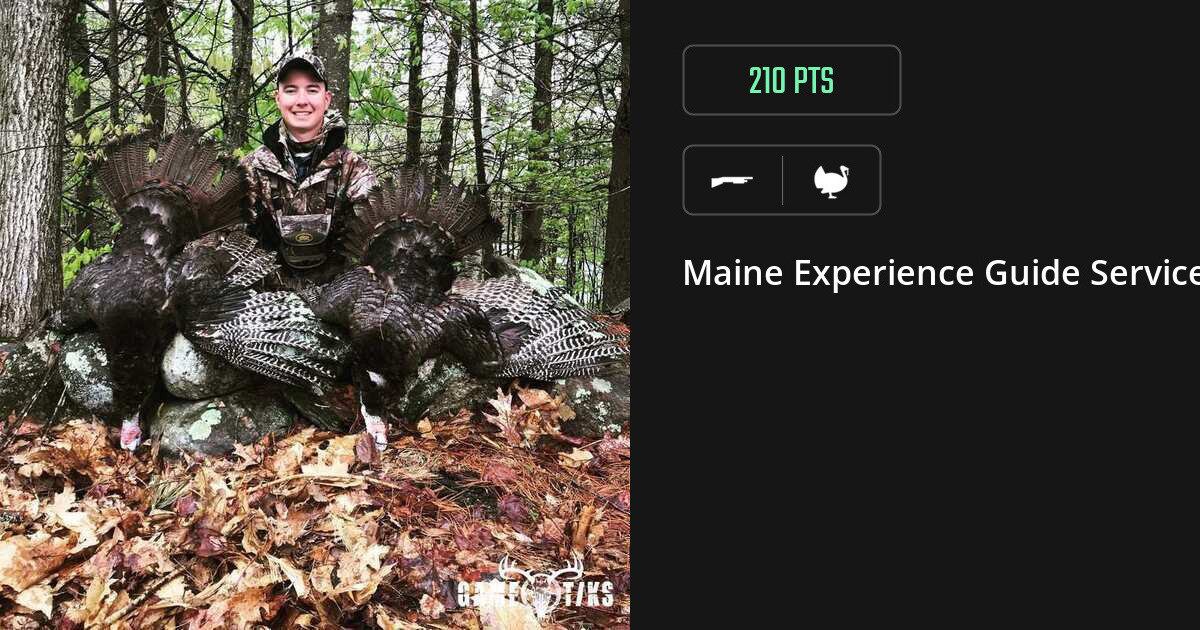 Turkey harvest on Gametiks