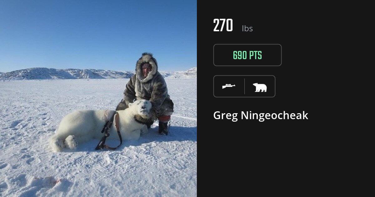 bear harvest by Greg Ningeocheak