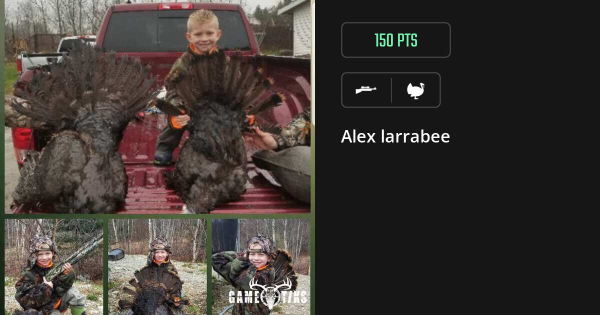 Turkey harvest on Gametiks