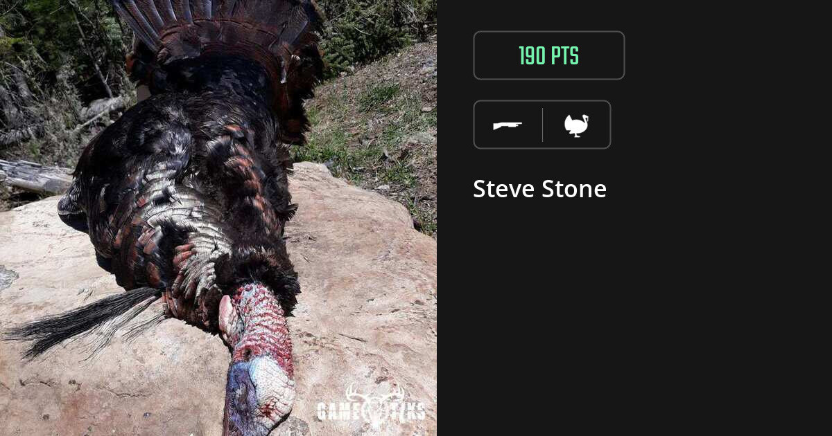 Turkey harvest on Gametiks