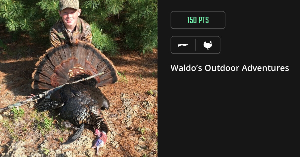 Turkey harvest on Gametiks