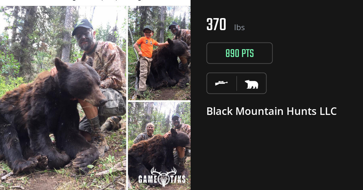 Bear harvest on Gametiks