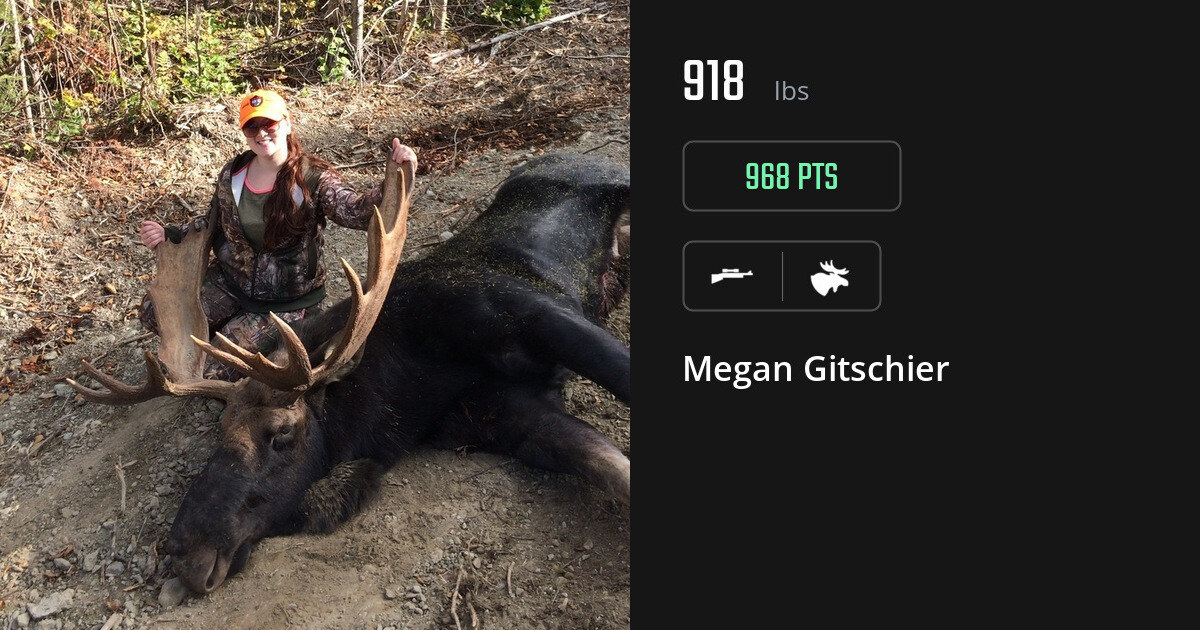 Moose harvest on Gametiks