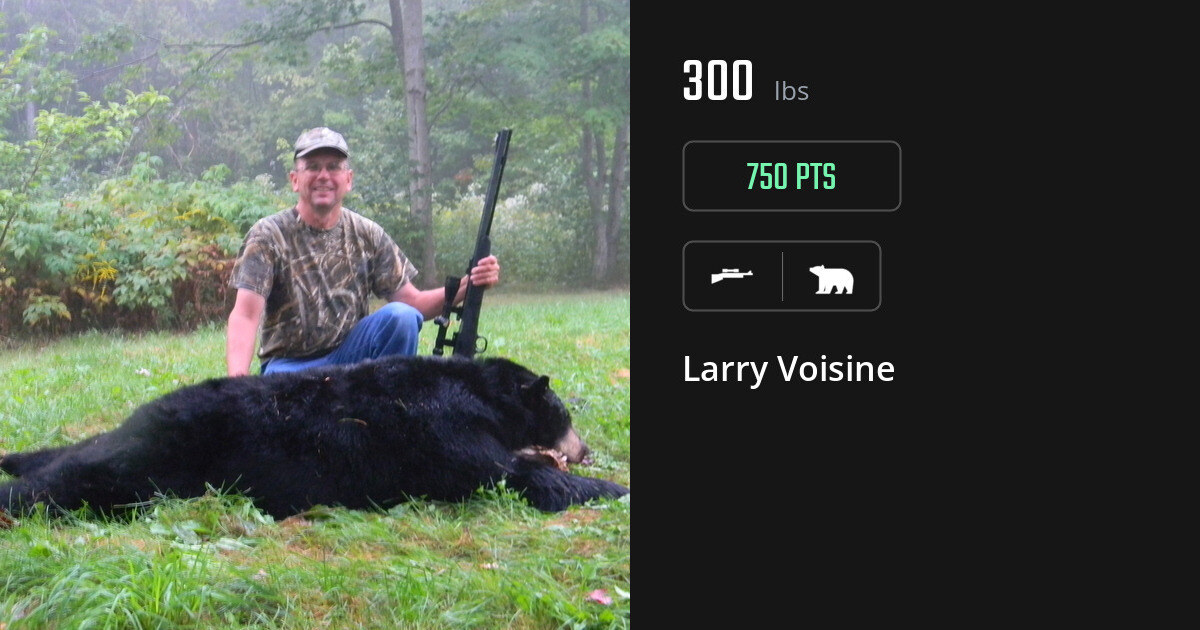 Bear harvest on Gametiks