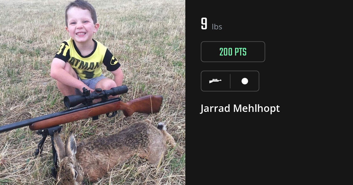 Miscellaneous harvest on Gametiks