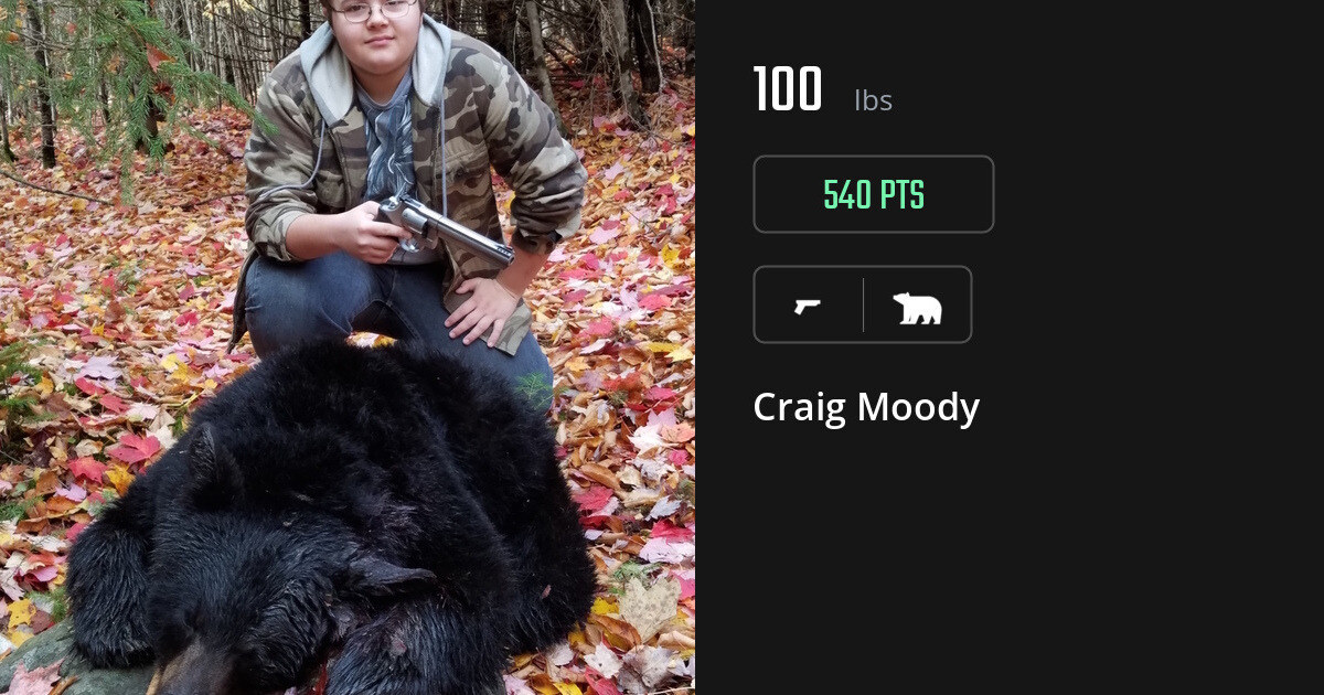 Bear harvest on Gametiks