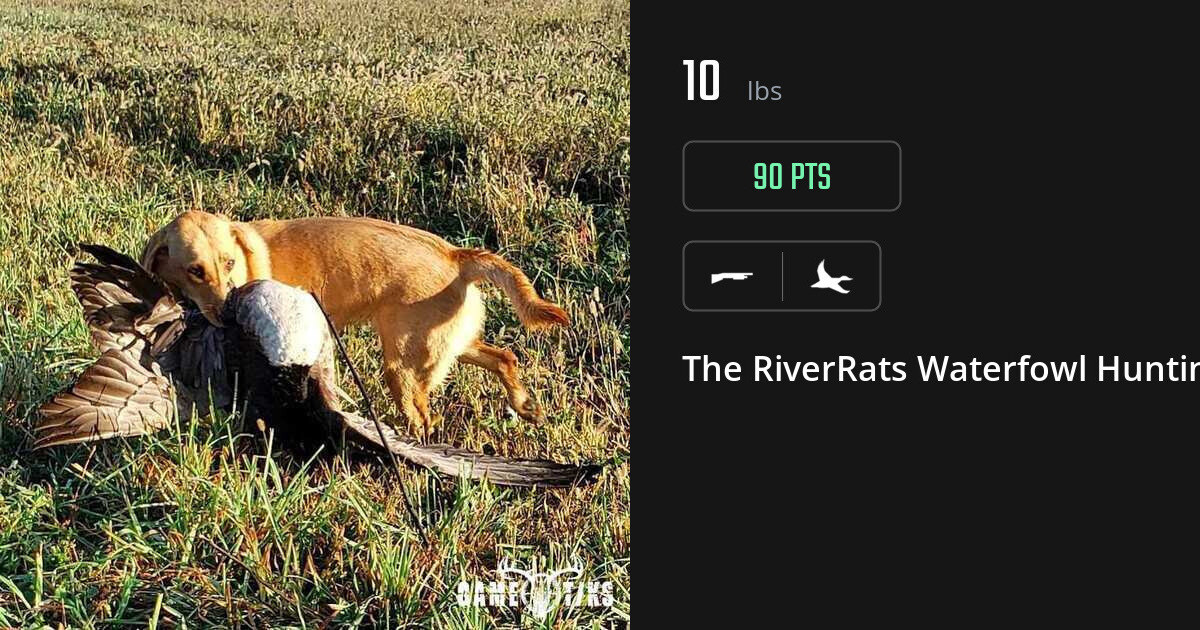 Waterfowl harvest on Gametiks