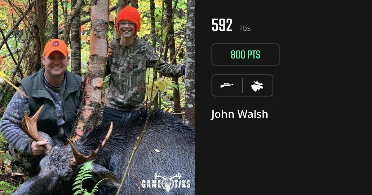 moose harvest by John Walsh