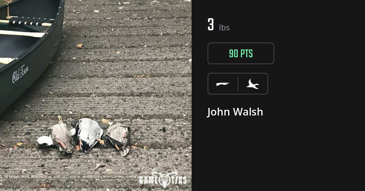 waterfowl harvest by John Walsh