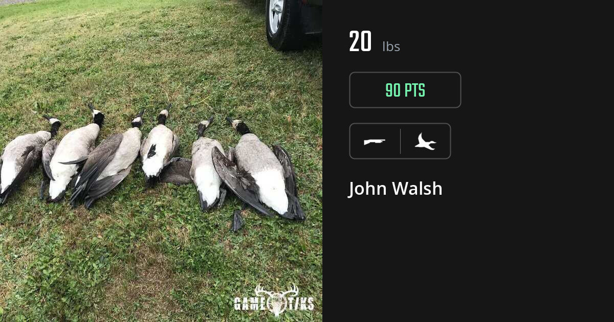 waterfowl harvest by John Walsh