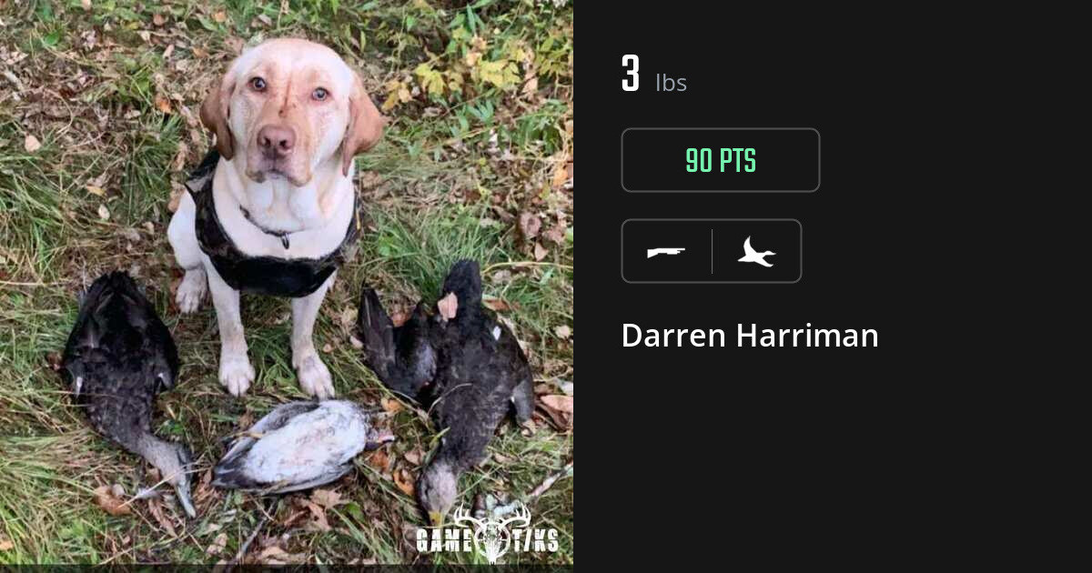 Waterfowl harvest on Gametiks