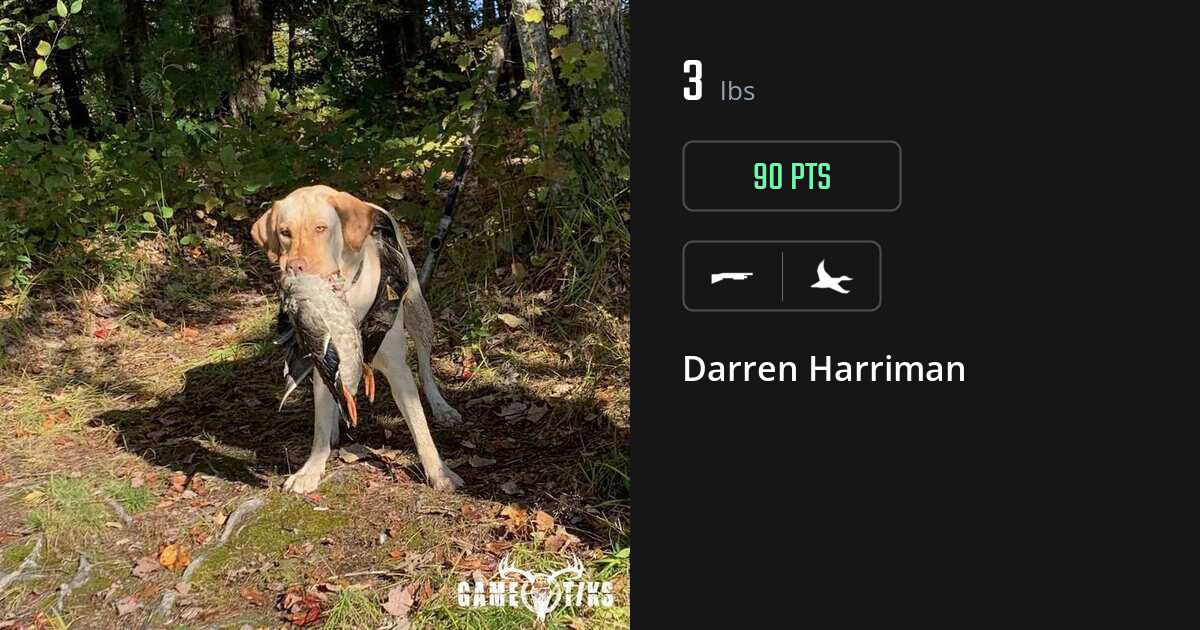 Waterfowl harvest on Gametiks