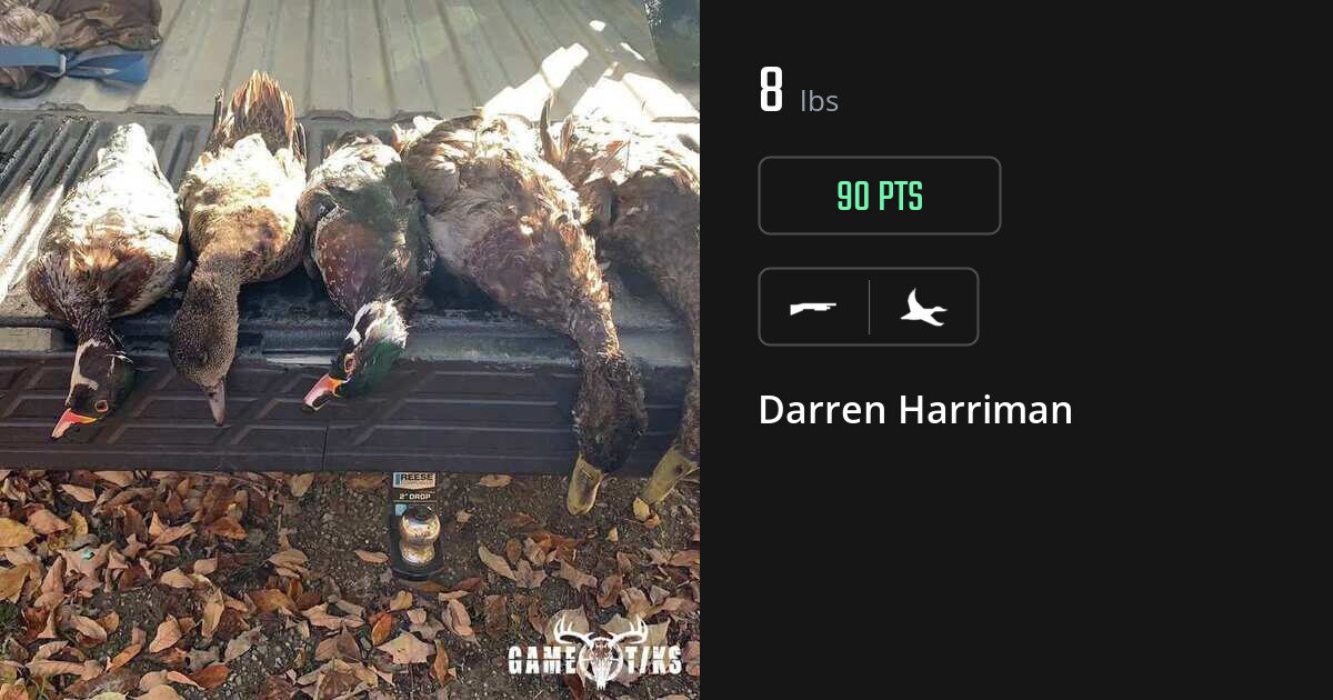 Waterfowl harvest on Gametiks