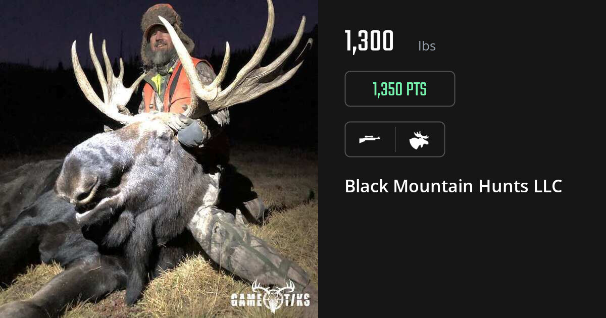 Moose harvest on Gametiks