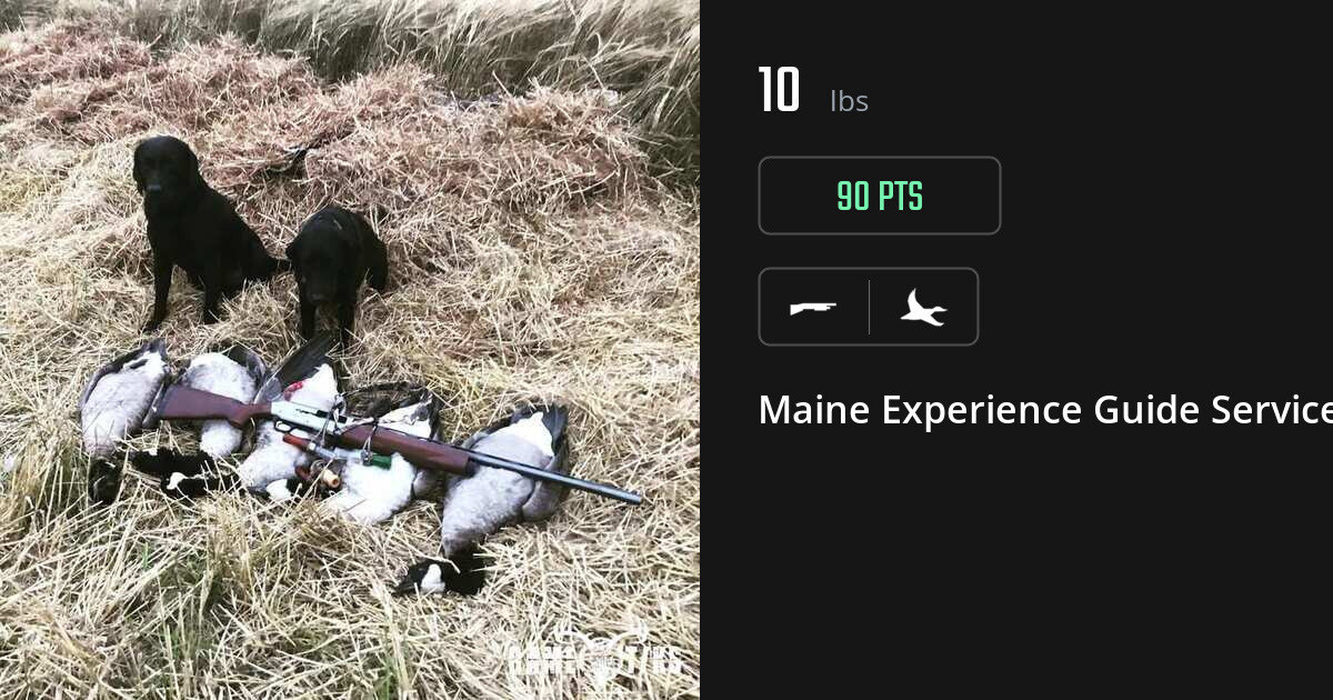 Waterfowl harvest on Gametiks