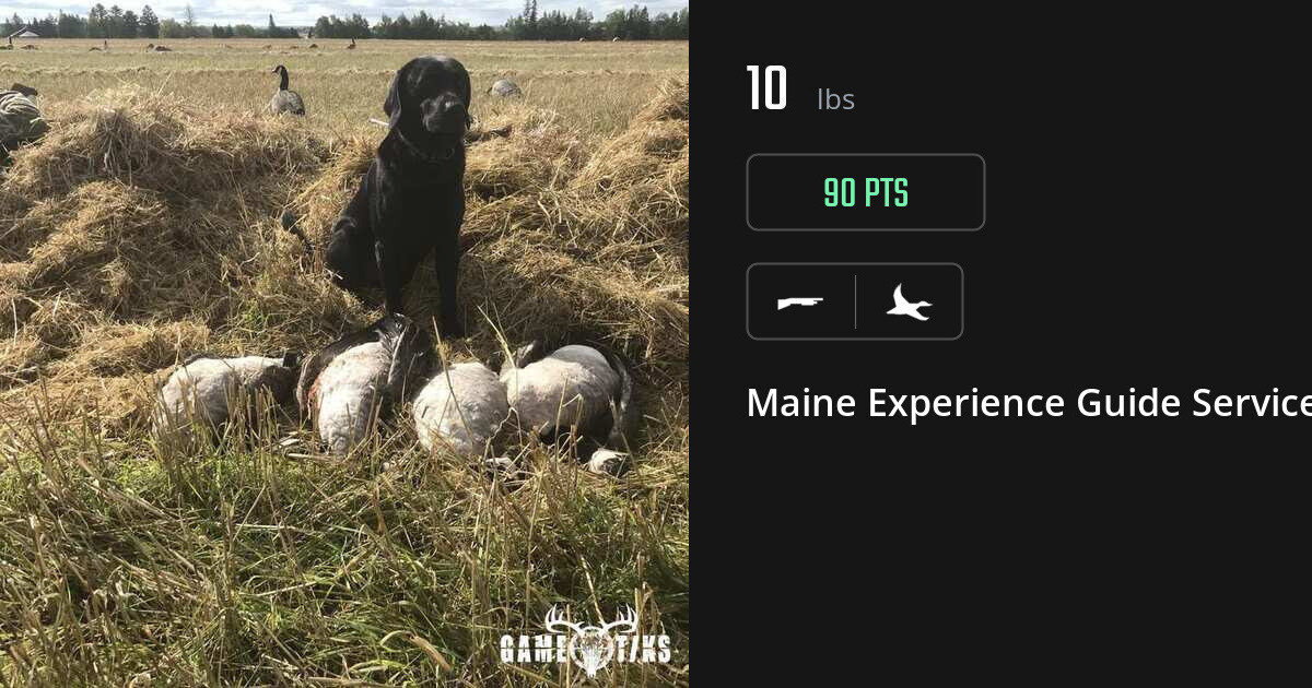 Waterfowl harvest on Gametiks