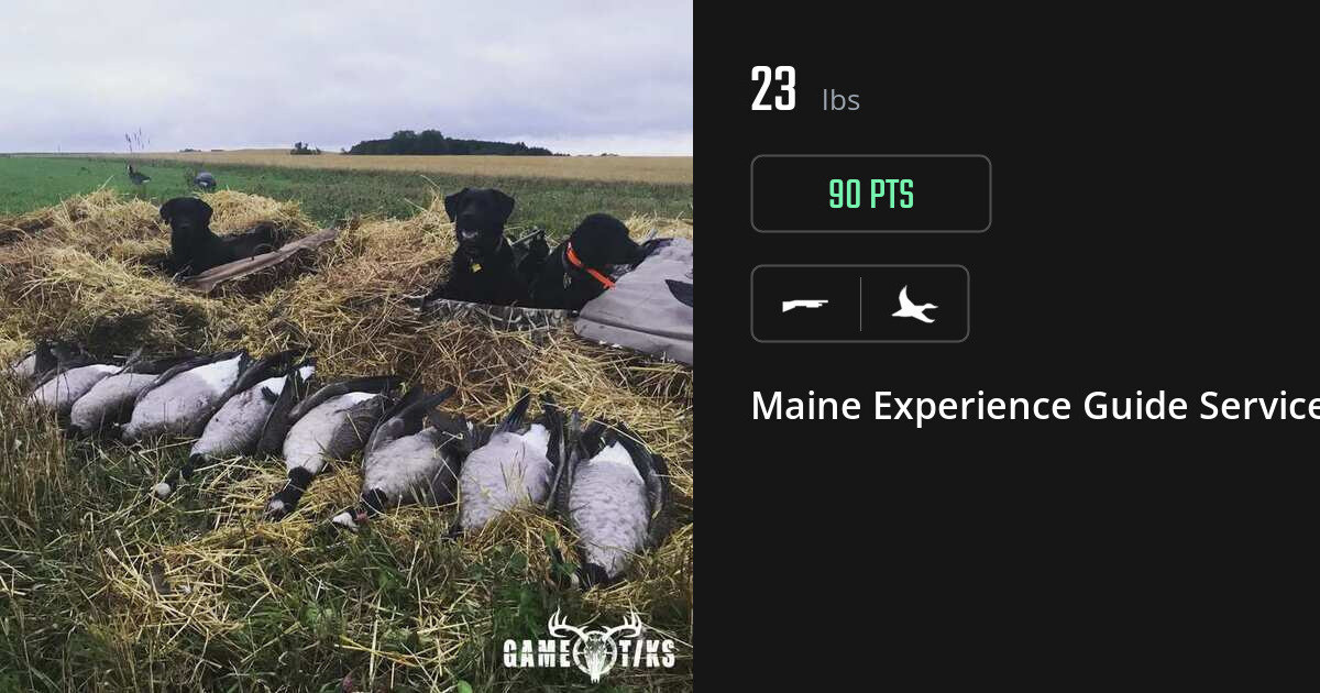 Waterfowl harvest on Gametiks