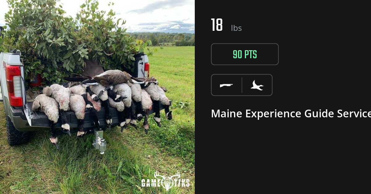 Waterfowl harvest on Gametiks