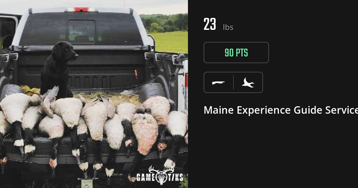 Waterfowl harvest on Gametiks