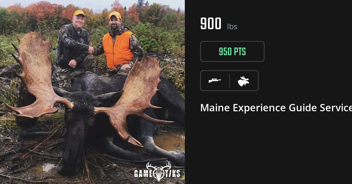 Moose harvest on Gametiks