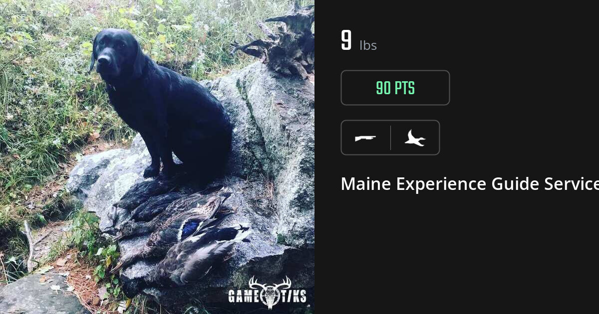 Waterfowl harvest on Gametiks
