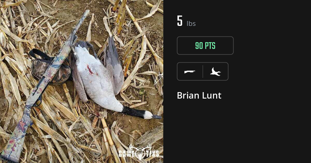 waterfowl harvest by Brian Lunt