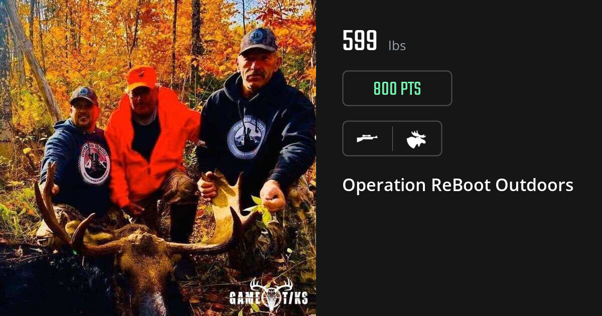 Moose harvest on Gametiks