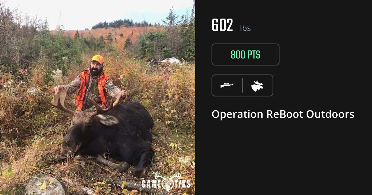 Moose harvest on Gametiks