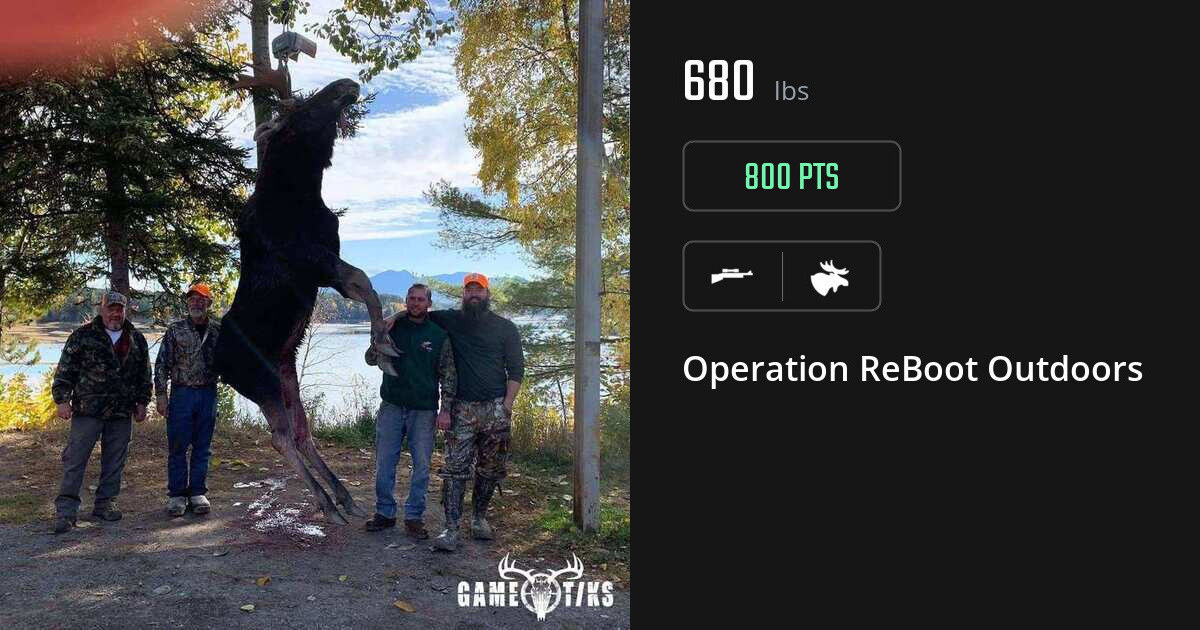 Moose harvest on Gametiks