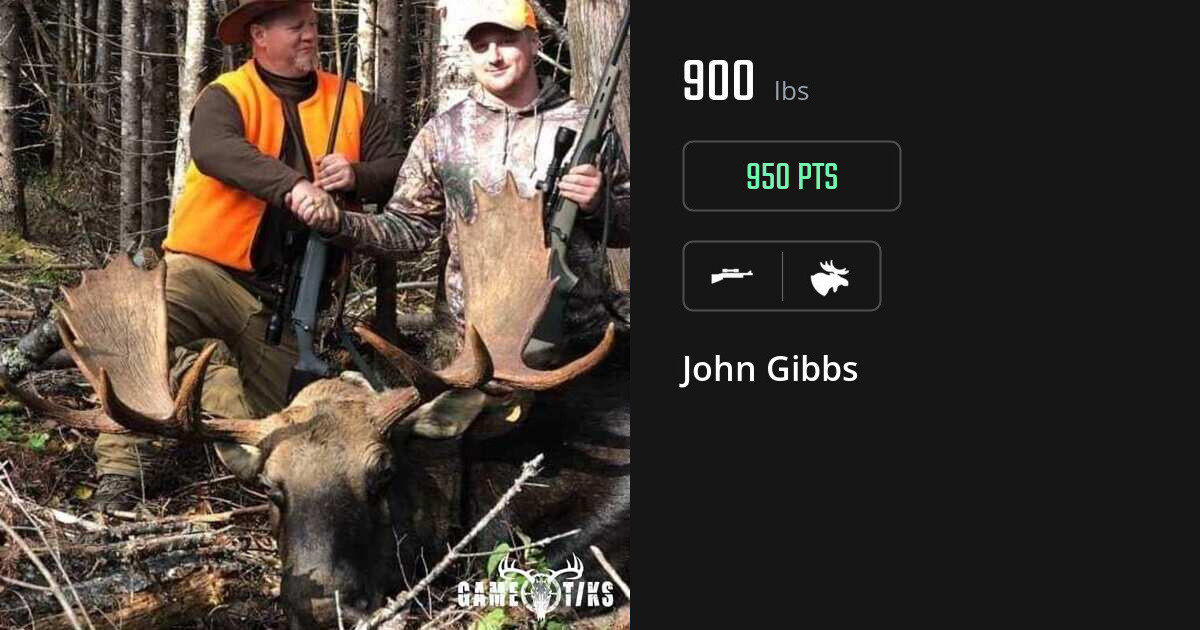 Moose harvest on Gametiks