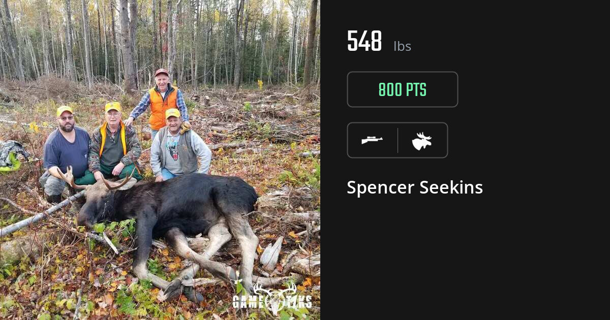 moose harvest by Spencer Seekins