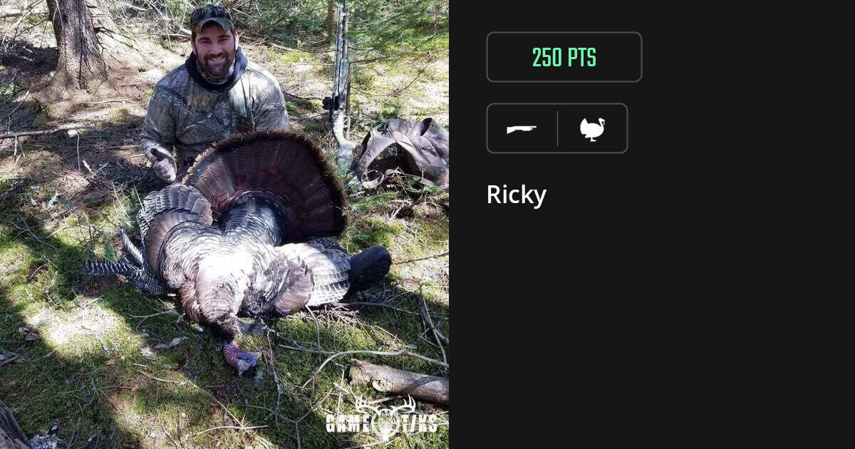 turkey harvest by Ricky