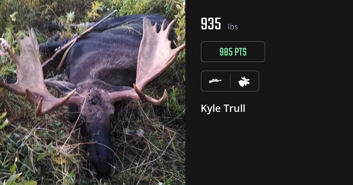Moose harvest on Gametiks