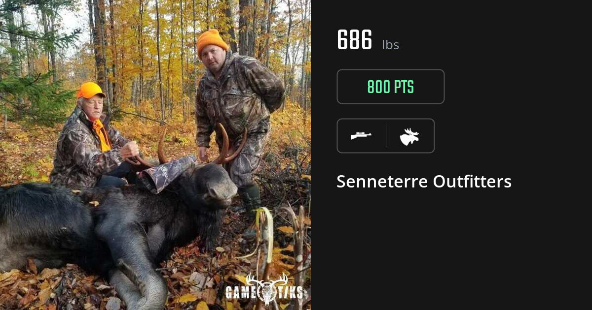 Moose harvest on Gametiks